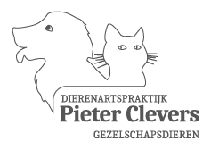 Pieter Clevers